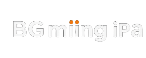 BGaming Provider-Logo mit orangem Akzent - Vox Casino Software Partner